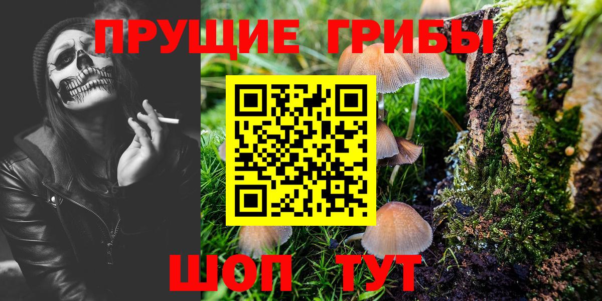 Лысьва  купить наркотики сайты  Вход с VPN  Псилоцибиновые грибы MAGIC MUSHROOMS  Псилоцибиновые грибы MAGIC MUSHROOMS 
